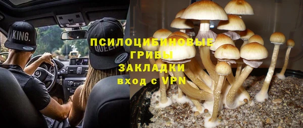 бошки Армянск