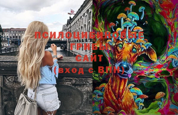 бошки Армянск