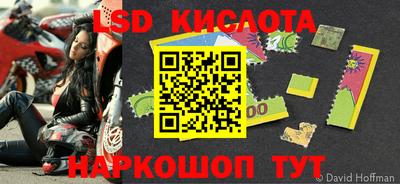 ПСИЛОЦИБИНОВЫЕ ГРИБЫ Кандалакша