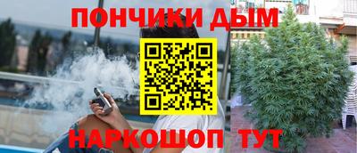 шишки Канаш