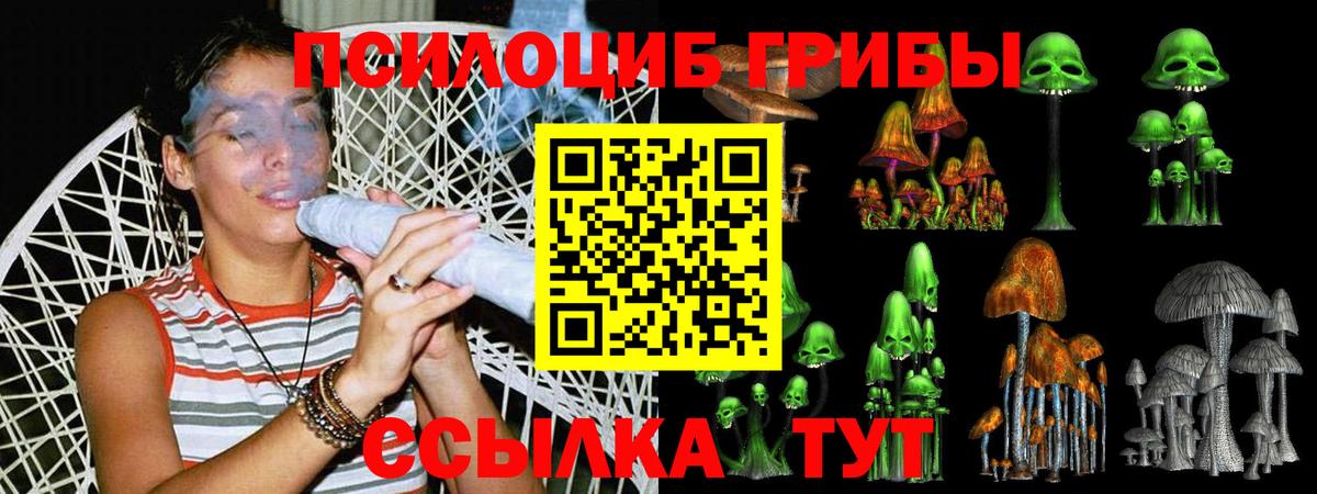 Псилоцибиновые грибы GOLDEN TEACHER  Галлюциногенные грибы Psilocybine cubensis  Учалы  Вход с VPN 